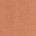 TIL- Chambray Ginger 160041