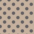 TIL Chambray Dots Charcoal 160050