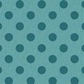 TIL Chambray Dots Aqua 160058