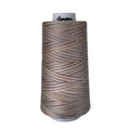 F254 Early Sunset Signature Cotton Variegated Thread