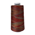 F256 Southwest Signature Cotton Variegated Thread