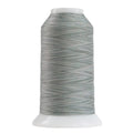 9138 Silver Mist Omni Variegated Polyester Thread