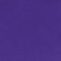 Viola Cuddle 3 Extra Wide Solid Minky Fabric per yard
