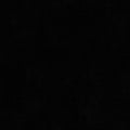 Luxe Cuddle Bunny Black" 58"/60" Fabric per yard
