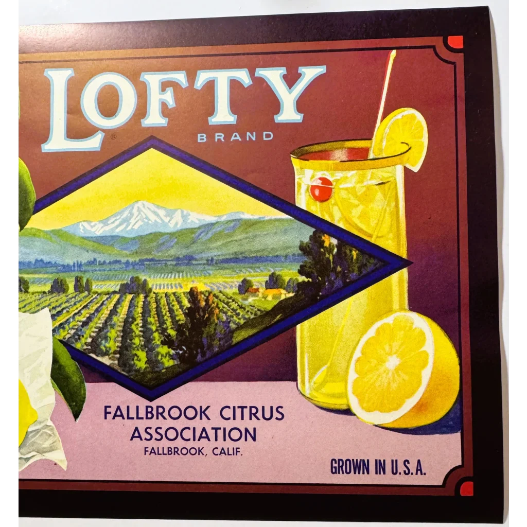 1930s Lofty Lemons Crate Label – Fallbrook CA H.S. Crocker NOS Rustic Decor