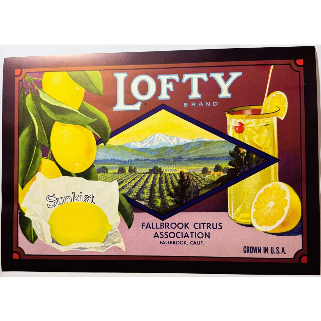 1930s Lofty Lemons Crate Label – Fallbrook CA H.S. Crocker NOS Rustic Decor