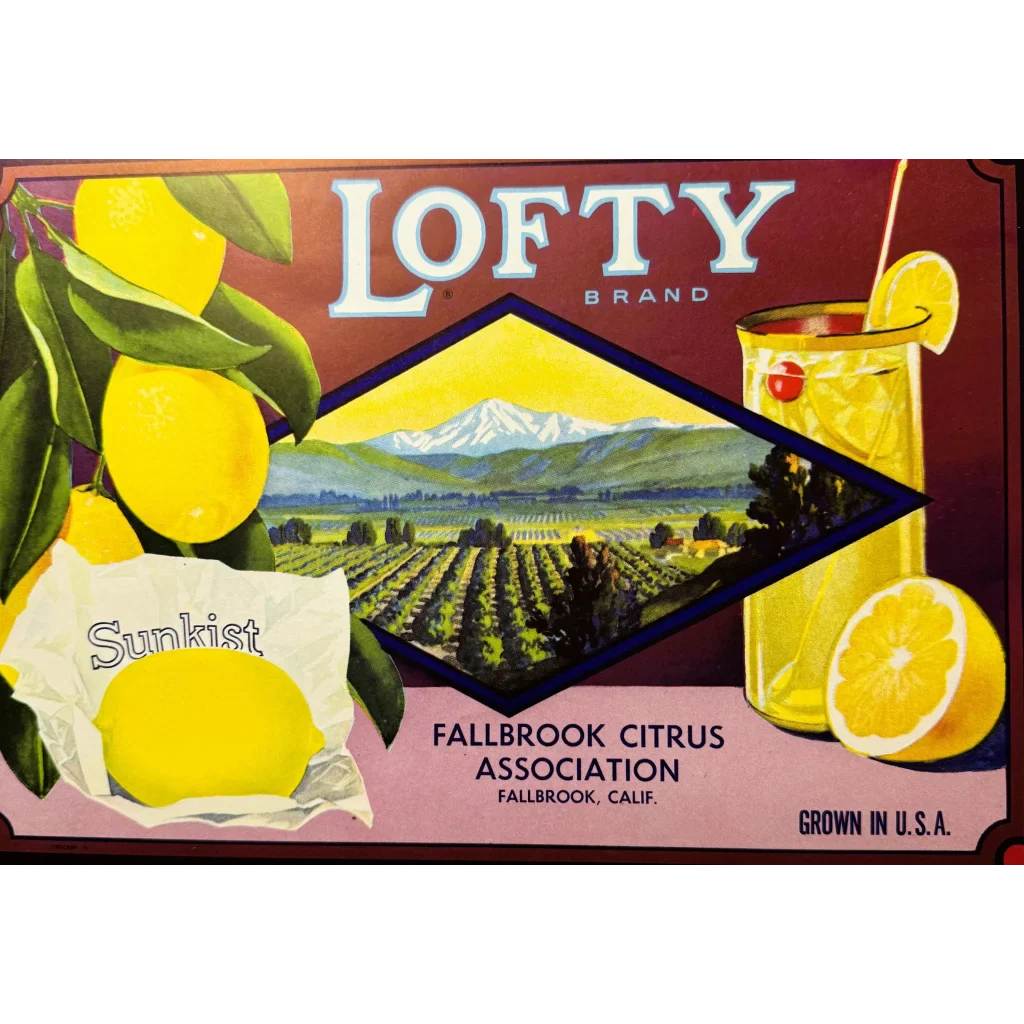 1930s Lofty Lemons Crate Label – Fallbrook CA H.S. Crocker NOS Rustic Decor