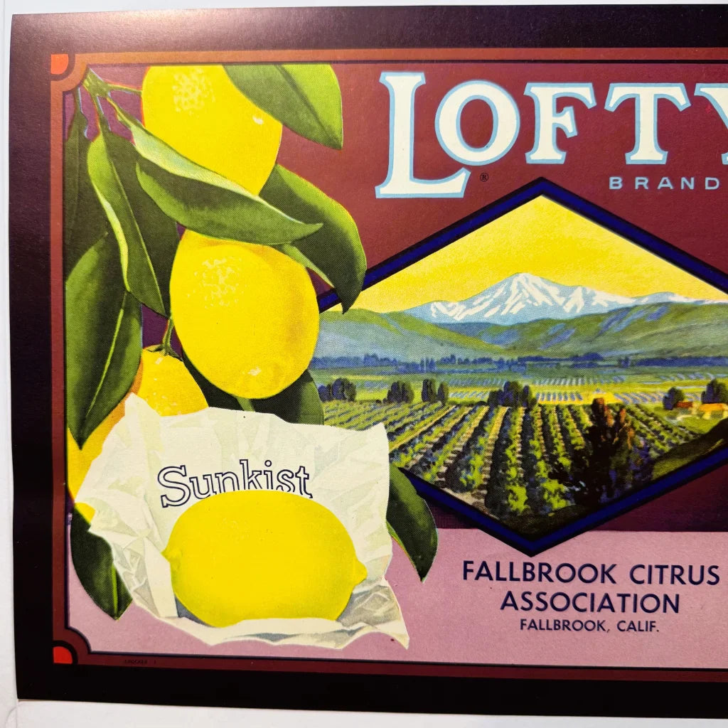 1930s Lofty Lemons Crate Label – Fallbrook CA H.S. Crocker NOS Rustic Decor